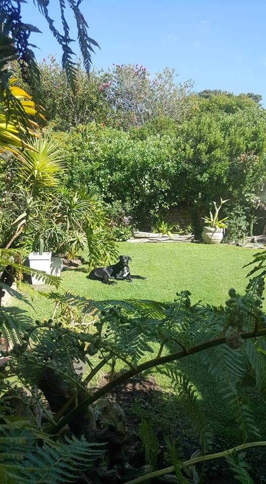 To Let 1 Bedroom Property for Rent in Seaside Longships Western Cape